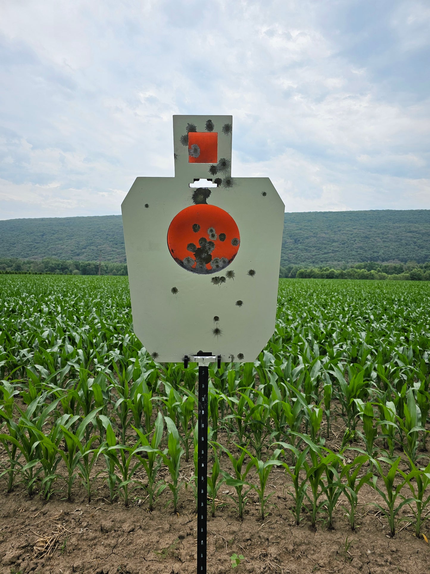 Universal T-Post and 2x4 Hanger and Holder