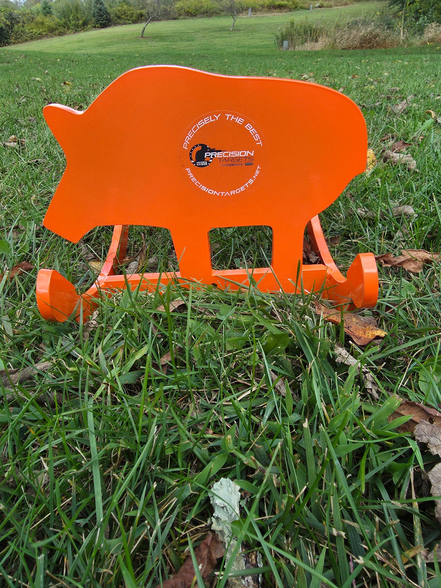 Rockin Boar
