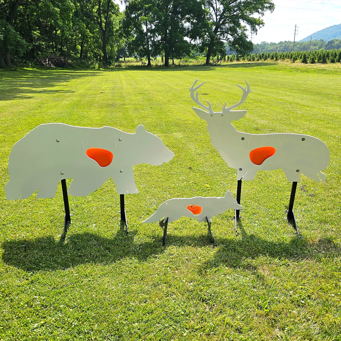 Chicken with Reactive Vitals & Stand