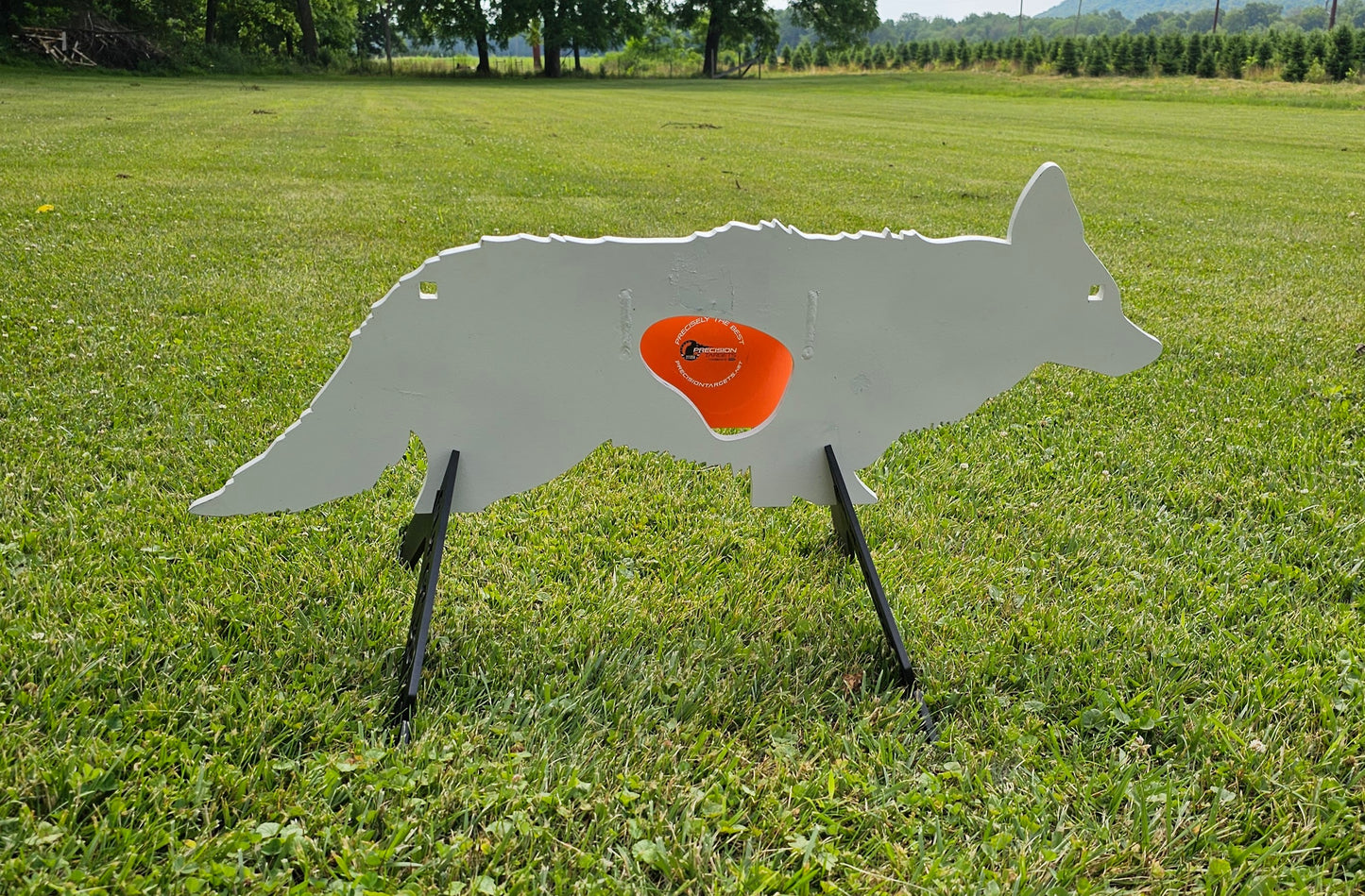 Coyote with reactive vitals