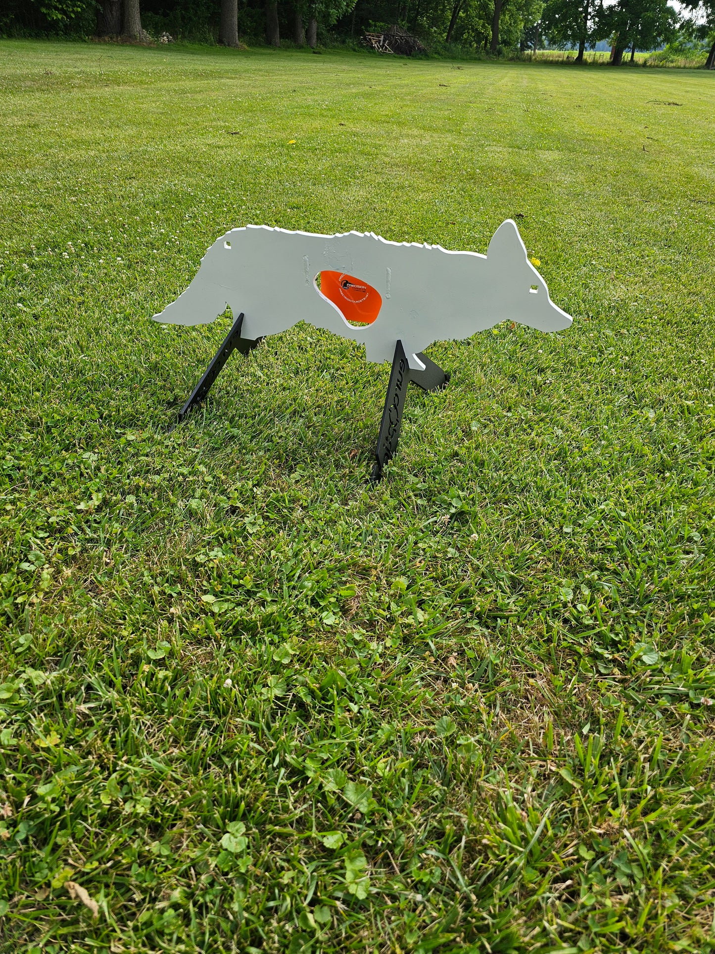 Coyote with reactive vitals