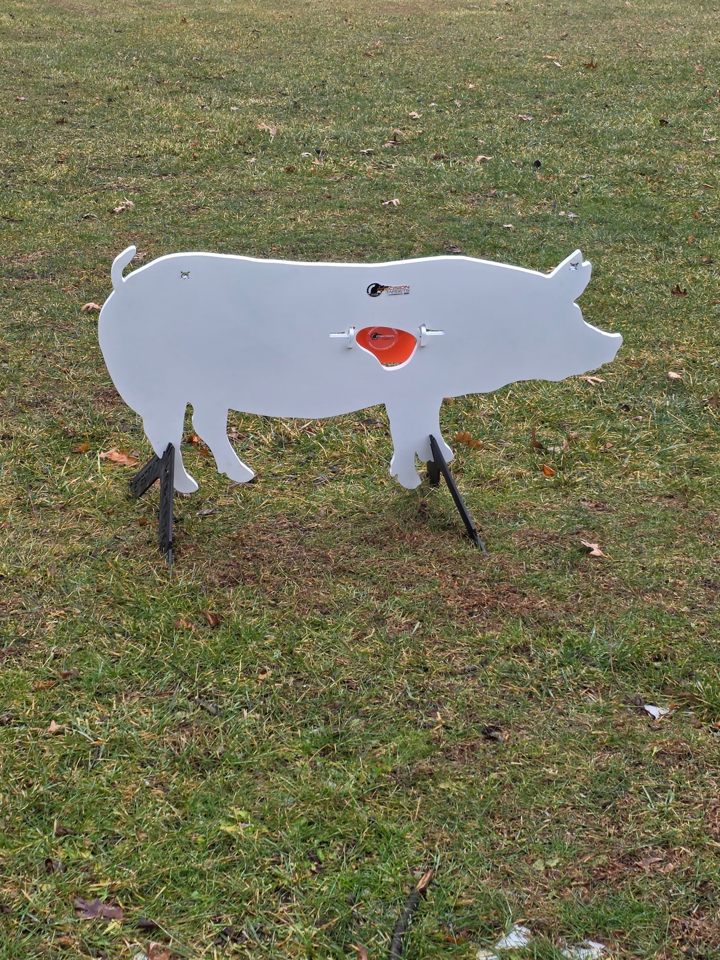 Boar with Reactive Vitals & Stand