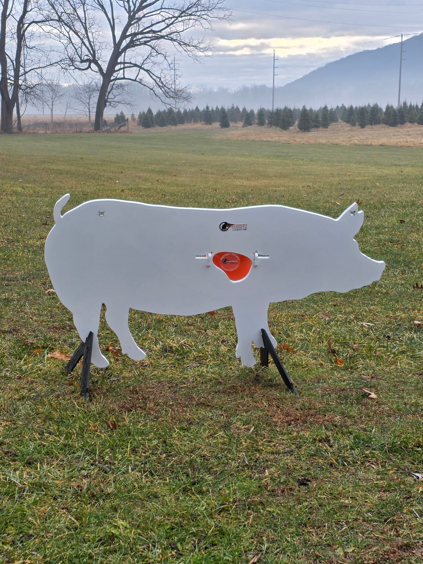 Boar with Reactive Vitals & Stand