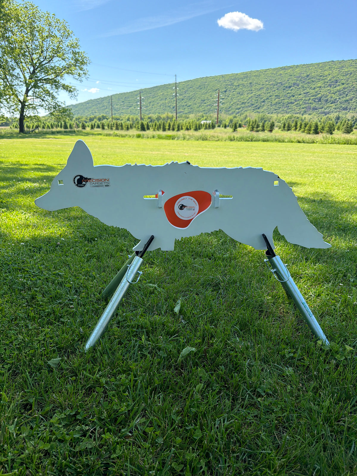 Coyote AR500 Steel Reactive Target with Stand