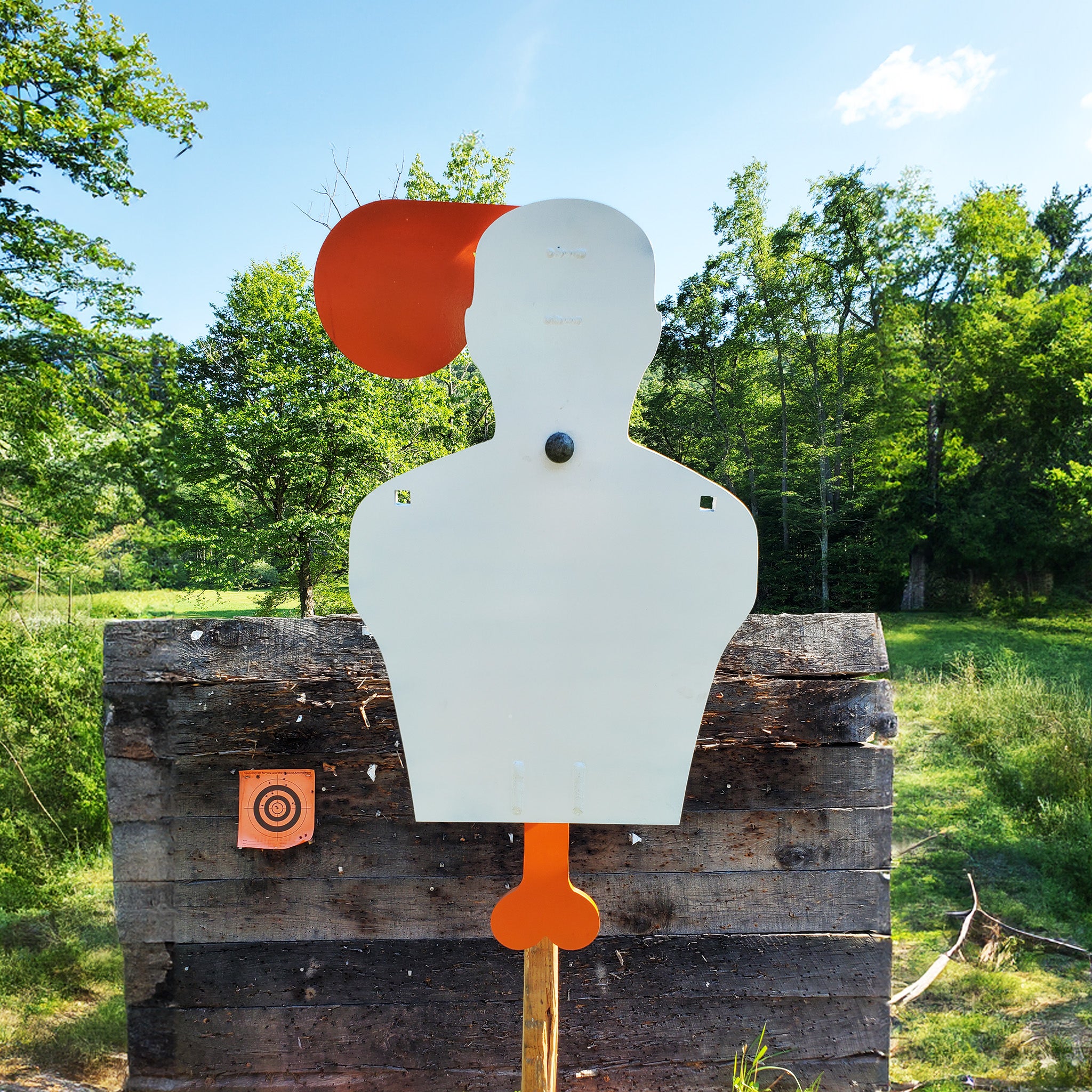 Torso Targets Precision Targets torso-targets-precision-targets