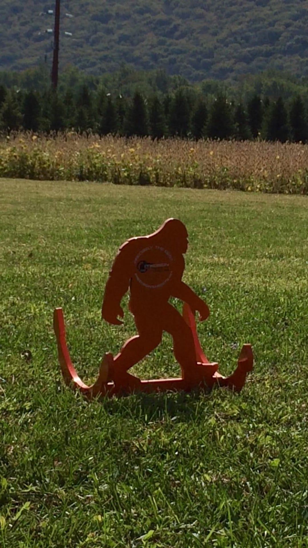 Sasquatch AR500 Steel Target | Precision Targets
