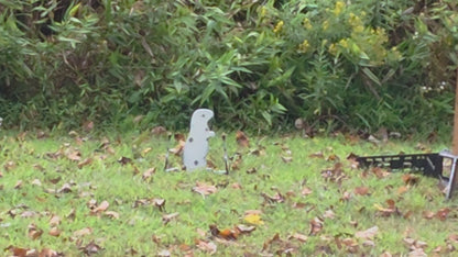 Rockin Rabbit