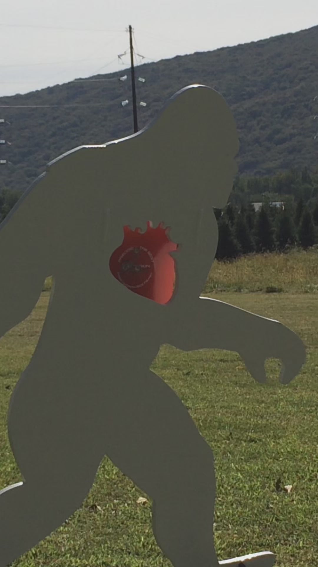 Sasquatch AR500 Steel Target | Precision Targets